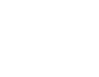 SFV Online